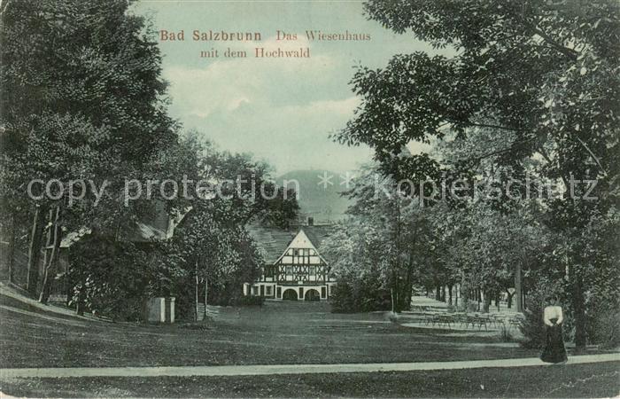 Bad Salzbrunn Szczawno-Zdroj PL Wiesenhaus mit Hochwald