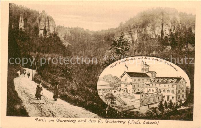Grosser Winterberg Rathen Saechsische Schweiz Partie am Wurzelweg