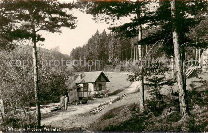 Bad Blankenburg Waldpartie im Oberen Werretal