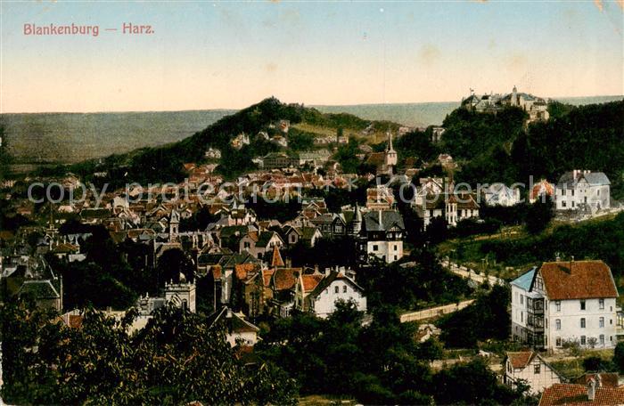 Blankenburg Harz Zahnradbahn Blankenburg Ruebeland Tanne