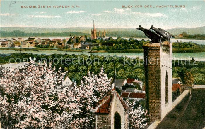 Werder Havel Blick von der Wachtelburg