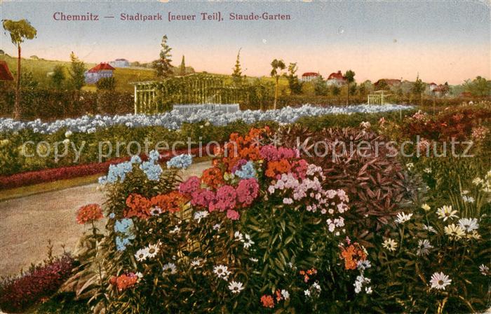 CHEMNITZ Sachsen Stadtpark Staude Garten