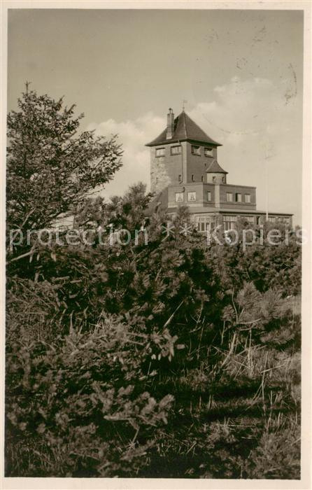Burg  Fehmarn Restaurant Wartturm vom Wald aus gesehen