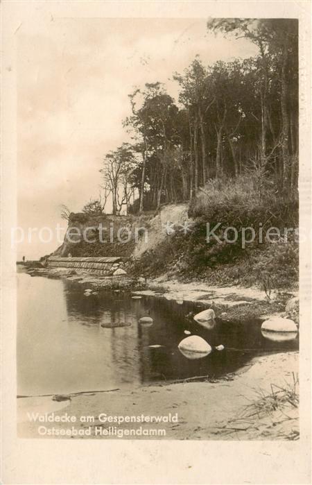 Heiligendamm Ostseebad Waldecke am Gespensterwald