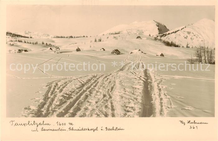 Tauplitzalm 1650m Dachstein AT mit Lawinenstein Schneiderkogel und Dachstein Fel