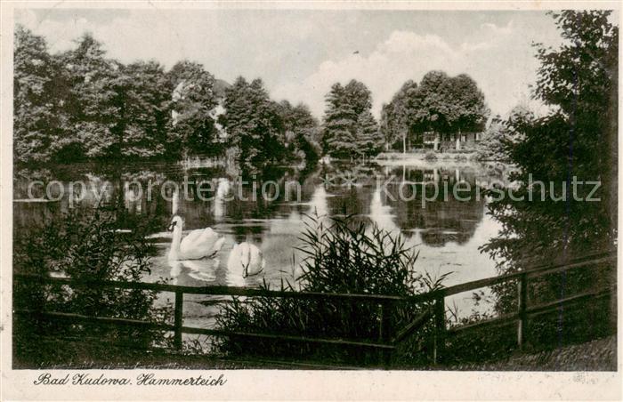 Bad Kudowa Kudowa-Zdroj Niederschlesien PL Hammerteich
