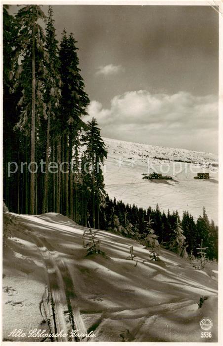 Riesengebirge Krkonose Karkonosze Alte Schlesische Baude