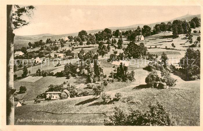 Hain  Giersdorf Riesengebirge Podgorzy PL Panorama mit Schneekoppe