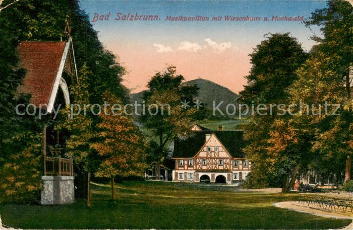 Bad Salzbrunn Szczawno-Zdroj PL Musikpavillon mit Wiesenhaus und Hochwald