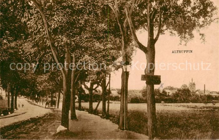 Altruppin Landstrasse Allee Blick zum Ort