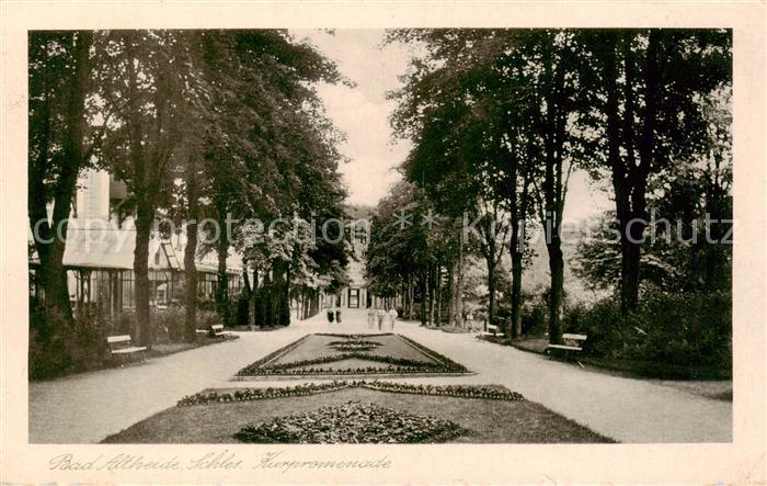 Bad Altheide Polanica-Zdrój Kurpromenade