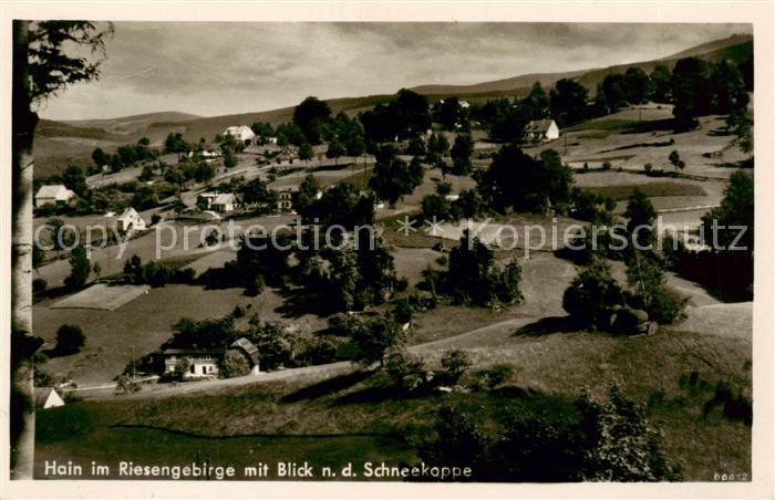 Hain  Giersdorf Riesengebirge Podgorzy PL mit Blick zur Schneekoppe