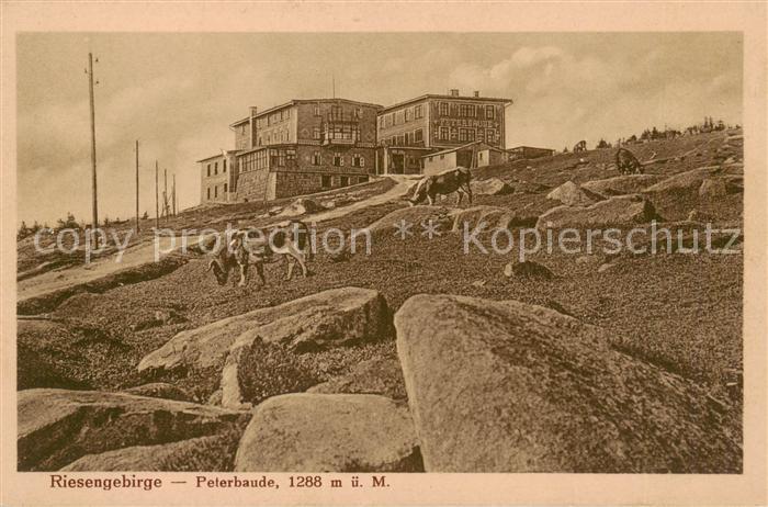 Riesengebirge Krkonose Karkonosze Peterbaude
