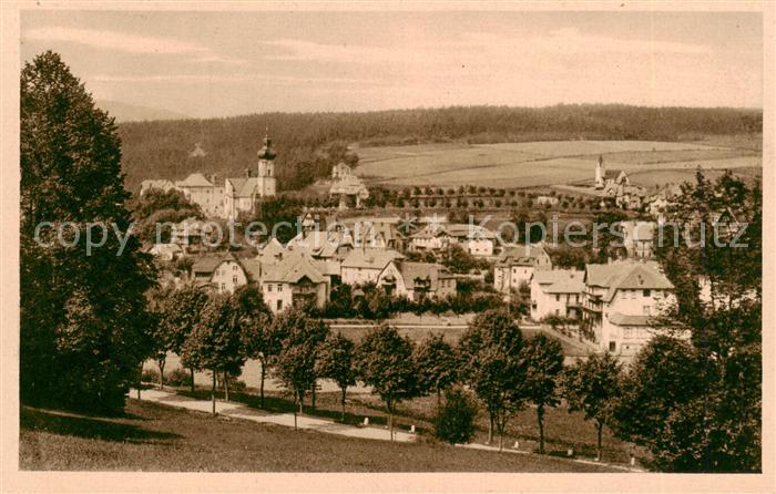 Bad Altheide Polanica-Zdrój Panorama