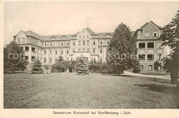 Greiffenberg Lwowek Slaski Schlesien PL Sanatorium Birkenhof