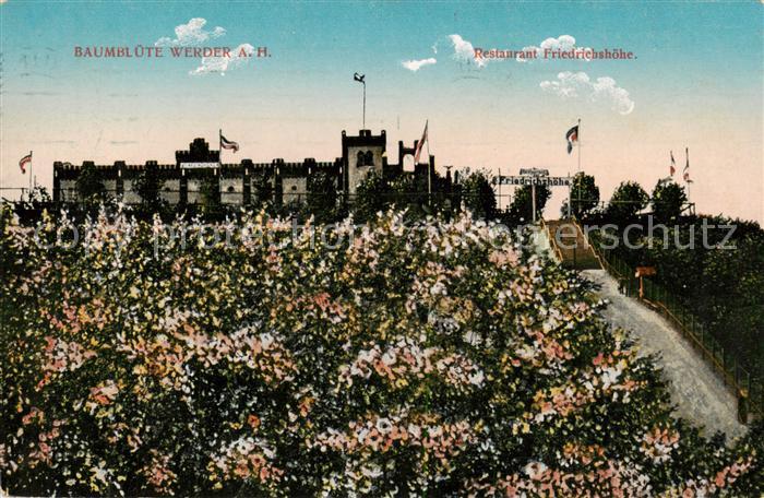 Werder Havel Baumbluete Restaurant Friedrichshoehe