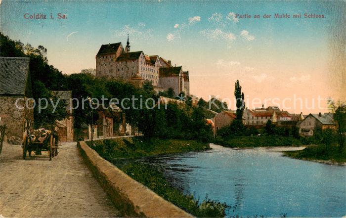 Colditz Partie an der Mulde mit Schloss