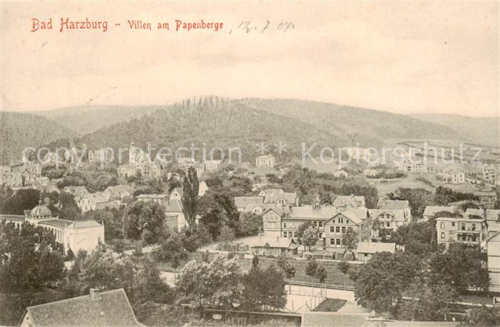 Bad Harzburg Villen am Papenberge