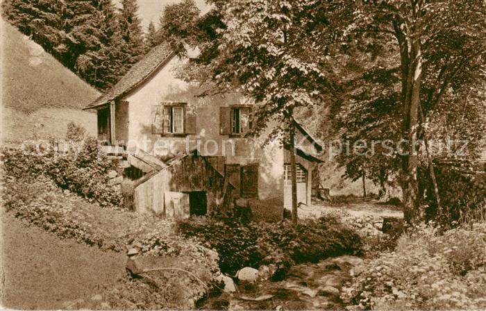 Loeffeltal Hinterzarten Schwarzwaldhaus