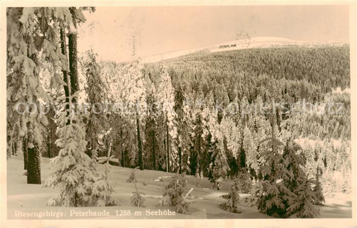 Riesengebirge Krkonose Karkonosze Peterbaude Panorama