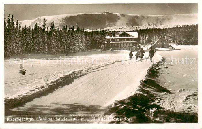 Riesengebirge Krkonose Karkonosze Schlingelbaude und Teichraender