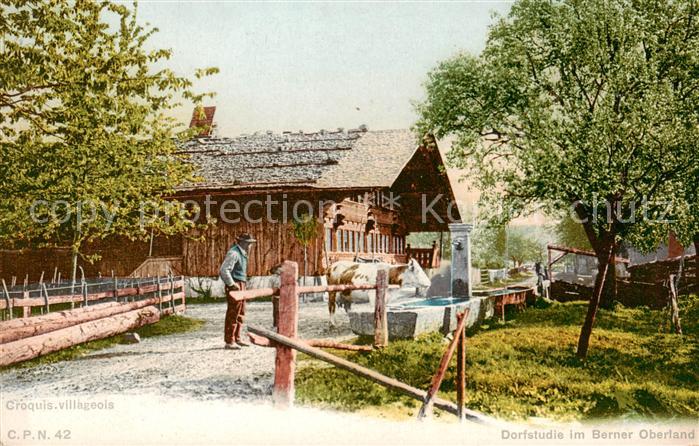 Bauernhof Berner Oberland