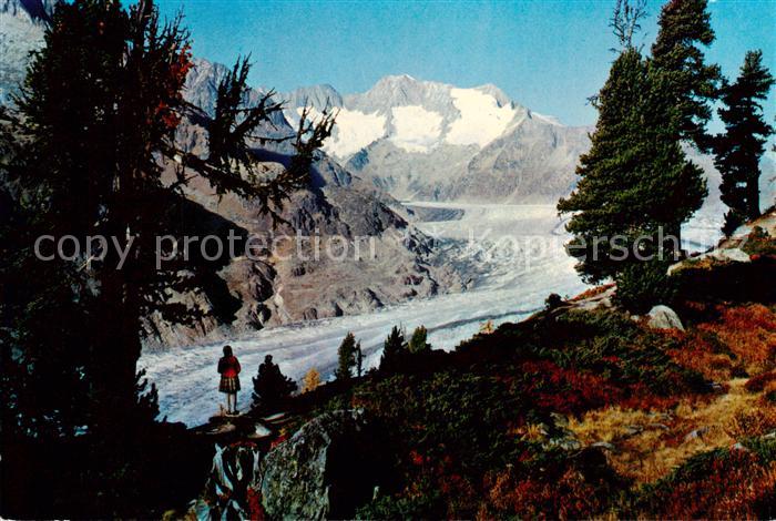Gletscher Aletschwald Schönbühlhorn Wannenhorn