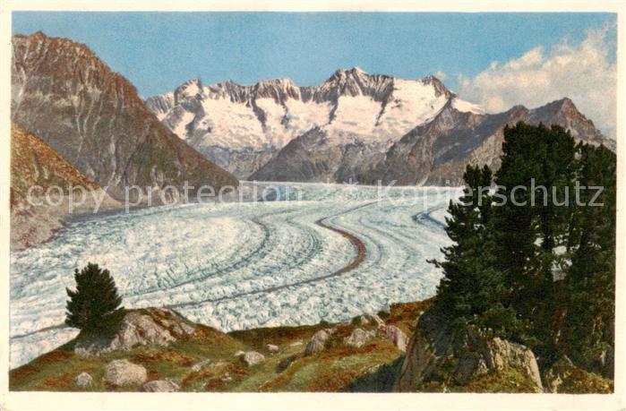 Verlag Gyger E. Adelboden Nr. A.12339 Aletschwald Walliser-Fiescherhoerner