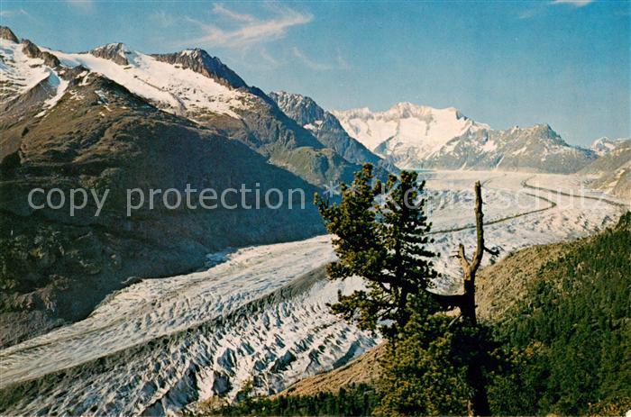 Gletscher Wallis Aletschgletscher
