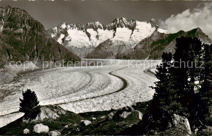 Verlag Gyger E. Adelboden Nr. 12339 Riederalp Aletschwald