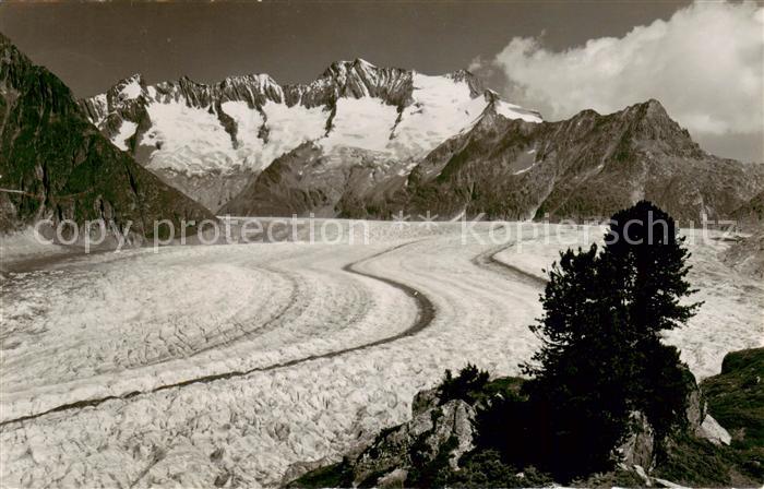 Verlag Gyger E. Adelboden Nr. 12338 Riederalp Moerel