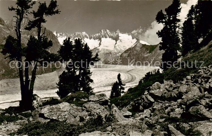 Verlag Gyger E. Adelboden Nr. 12340 Aletschwald
