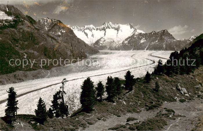 Verlag Gyger E. Adelboden Nr. 4912 Arven Möräne