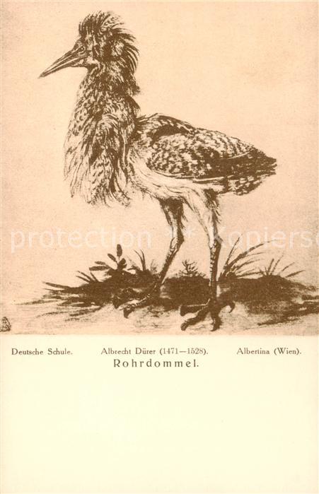 Duerer Albrecht Nuernberg Rohrdommel