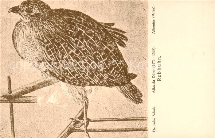 Duerer Albrecht Nuernberg Rebhuhn