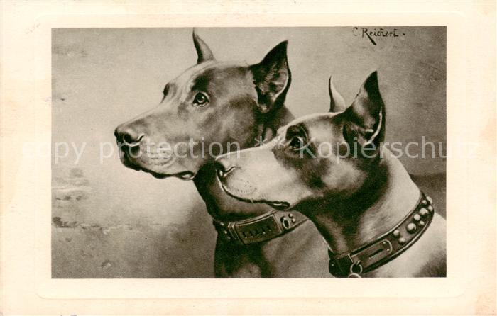 Hunde dogs chiens C.Reichert