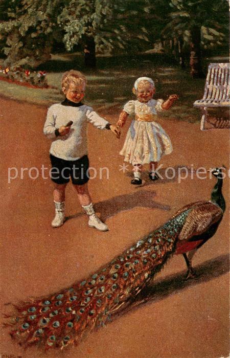 Tiere Pfau Kinder