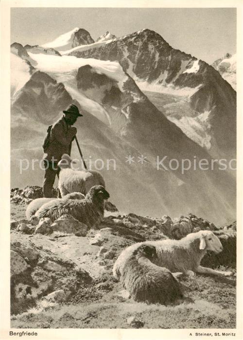 Schaeferei Sheperding Bergerie Bergfriede A Steiner St.Moritz
