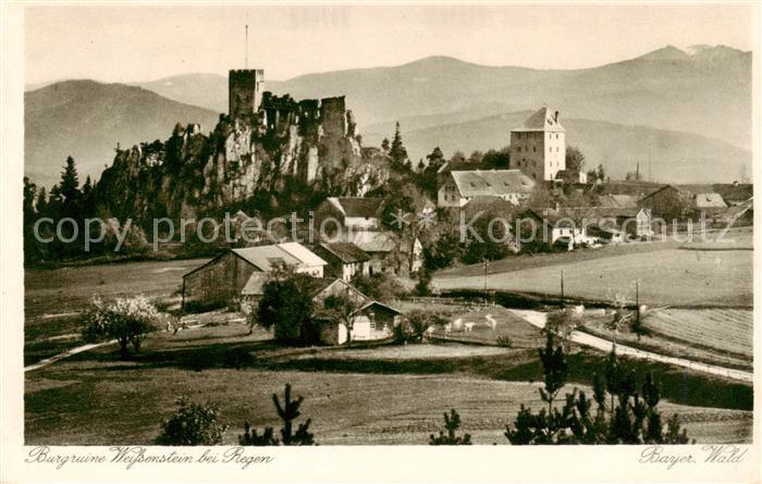 Regen Burgruine Weissenstein