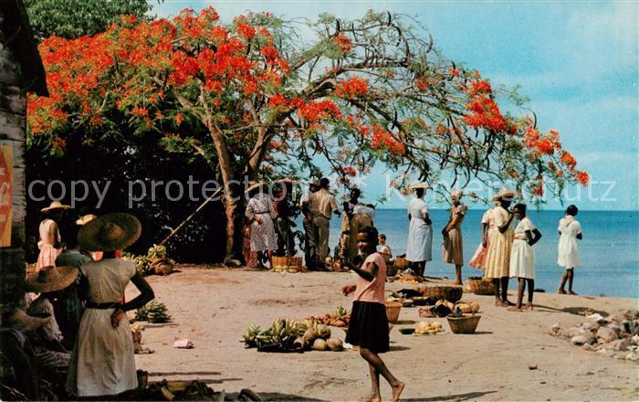 Martinique Trois Rivieres Marche en plein air