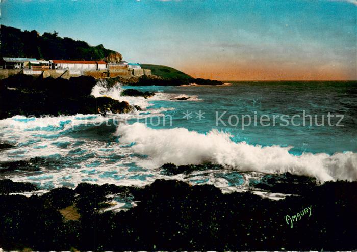 Saint-Brieuc 22 Cotes-d Armor Legue l’Anse aux Moines Maree montante
