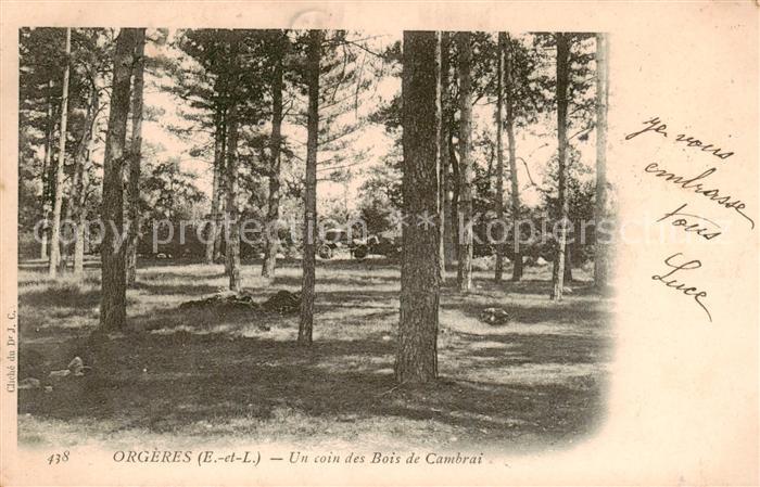 Orgeres-en-Beauce 35 Eure-et-Loir Un coin des Bois de Cambrai