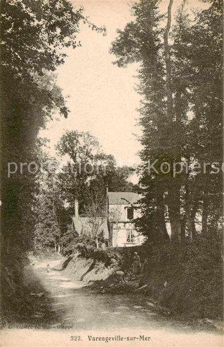 Varengeville-sur-Mer 76 Seine-Maritime Partie am Waldrand