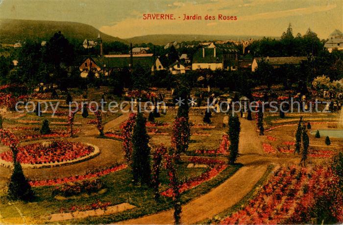 Saverne Bas Rhin Alsace Jardin des Roses