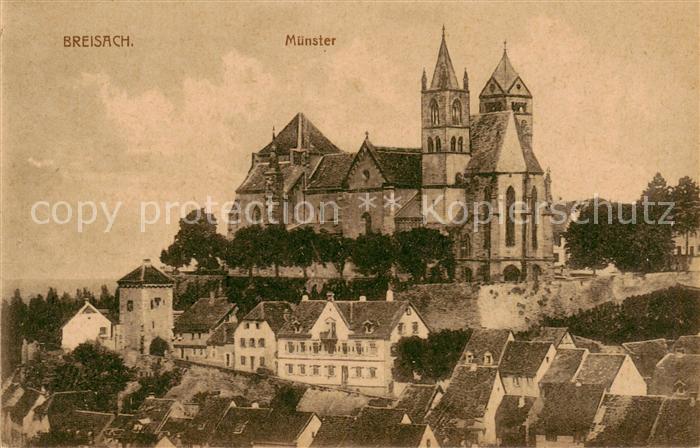 Breisach Rhein Muenster