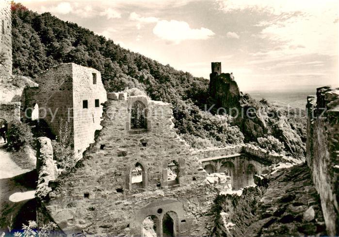 Ribeauville Haut Rhin Alsace 68 Le Giersberg vu du Chateau Saint Ulrich