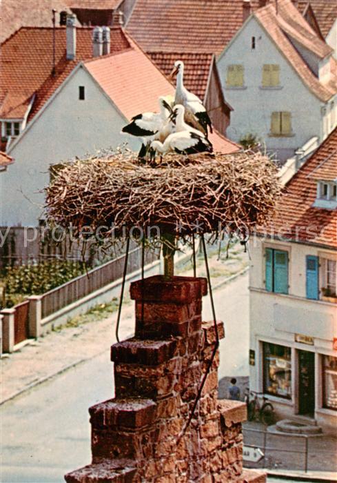 Ostheim 68 Elsass Nid de cigognes Storchennest