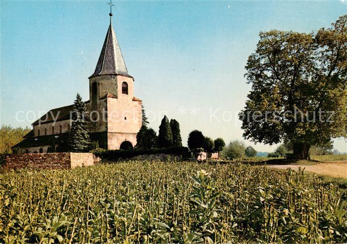 Avolsheim Dompeter IXe siècle la plus ancienne Eglise d Alsace