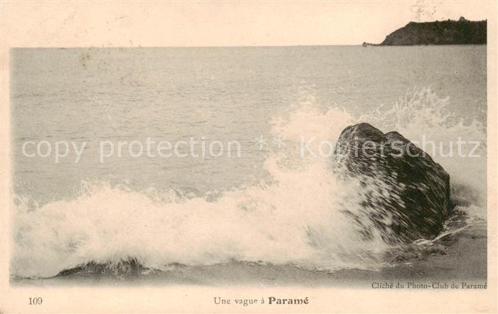 Parame St-Malo 35 Une vague a Parame