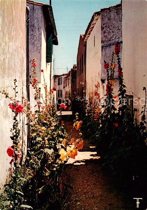 Ars-en-Re Les maisons blanches et les passeroses de l'Ile